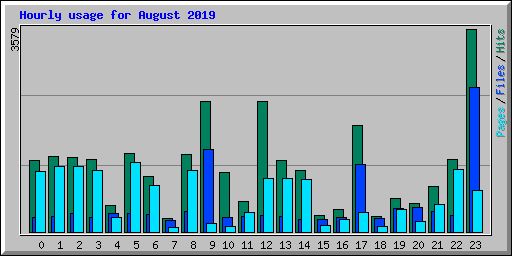 Hourly usage for August 2019