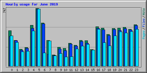 Hourly usage for June 2019
