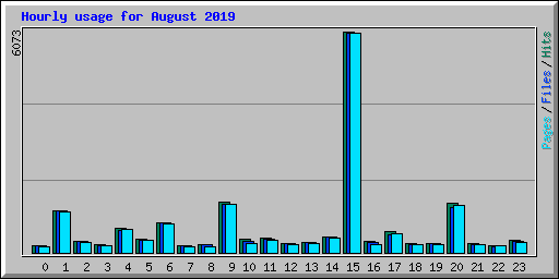Hourly usage for August 2019