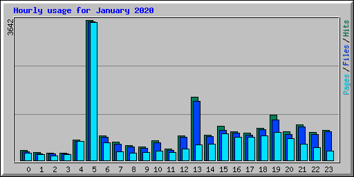 Hourly usage for January 2020