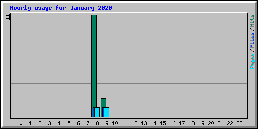 Hourly usage for January 2020