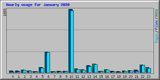 Hourly usage for January 2020